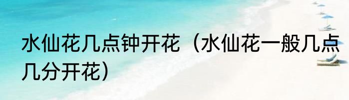 水仙花几点钟开花（水仙花一般几点几分开花）