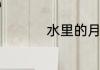 水里的月亮其实是什么