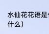 水仙花花语是什么（水仙花的花语是什么）
