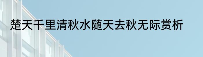 楚天千里清秋水随天去秋无际赏析