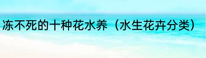 冻不死的十种花水养（水生花卉分类）