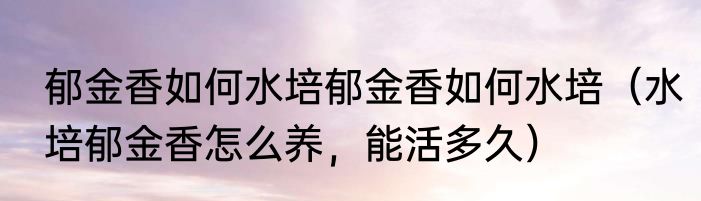 郁金香如何水培郁金香如何水培（水培郁金香怎么养，能活多久）