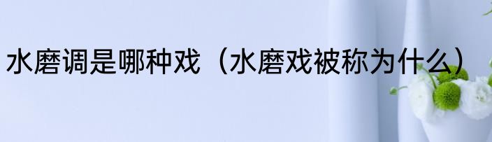 水磨调是哪种戏（水磨戏被称为什么）