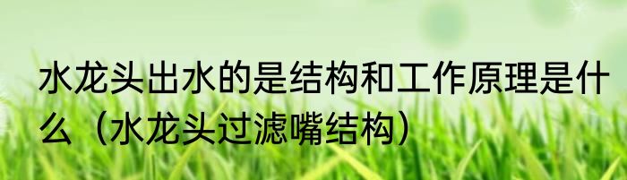 水龙头出水的是结构和工作原理是什么（水龙头过滤嘴结构）