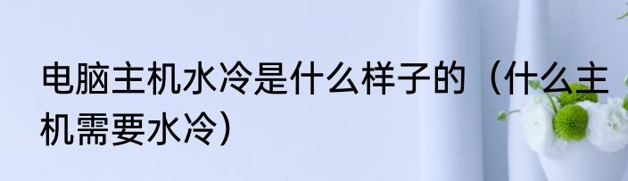 电脑主机水冷是什么样子的（什么主机需要水冷）