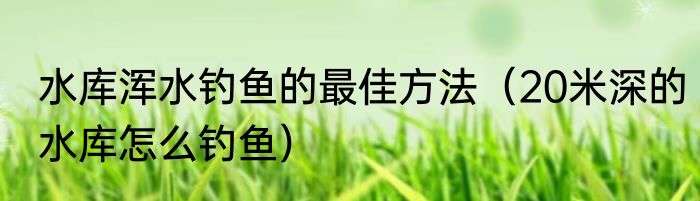 水库浑水钓鱼的最佳方法（20米深的水库怎么钓鱼）