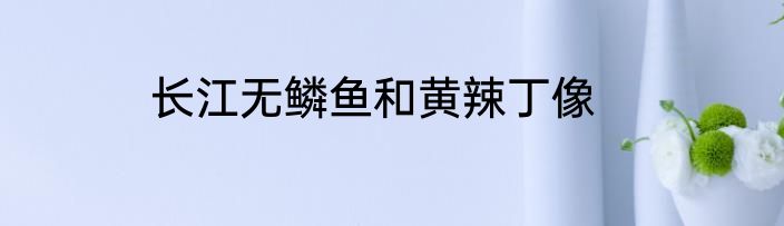 长江无鳞鱼和黄辣丁像