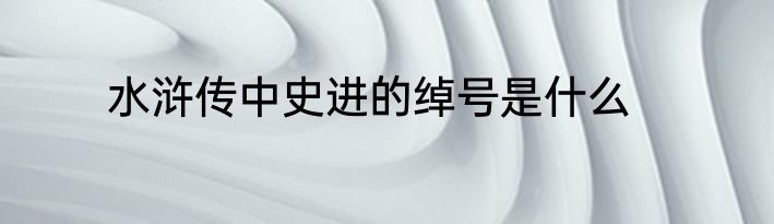 水浒传中史进的绰号是什么