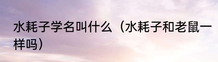 水耗子学名叫什么（水耗子和老鼠一样吗）