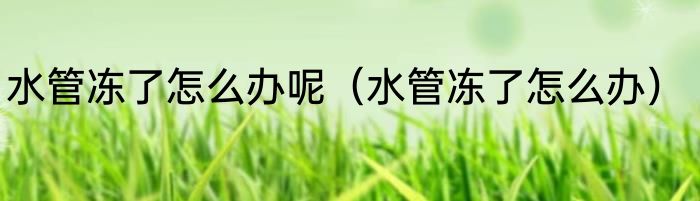 水管冻了怎么办呢（水管冻了怎么办）