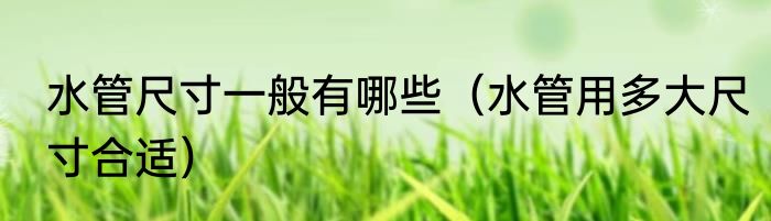水管尺寸一般有哪些（水管用多大尺寸合适）