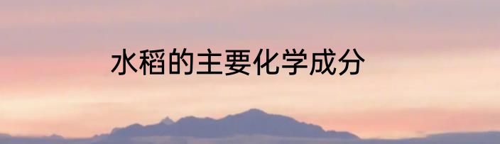 水稻的主要化学成分