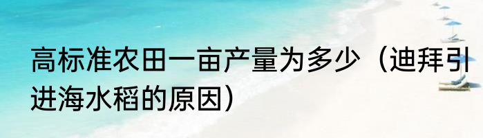 高标准农田一亩产量为多少（迪拜引进海水稻的原因）