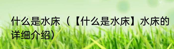 什么是水床（【什么是水床】水床的详细介绍）