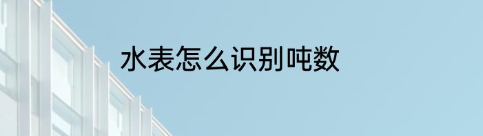 水表怎么识别吨数