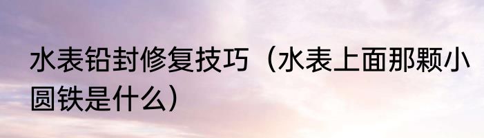 水表铅封修复技巧（水表上面那颗小圆铁是什么）