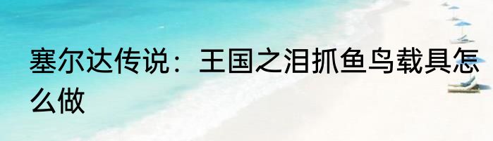 塞尔达传说：王国之泪抓鱼鸟载具怎么做