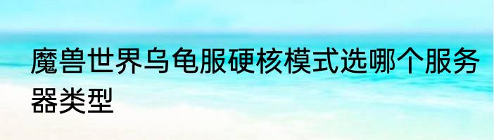 魔兽世界乌龟服硬核模式选哪个服务器类型