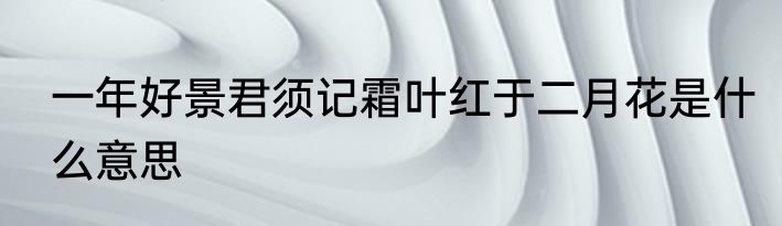 一年好景君须记霜叶红于二月花是什么意思