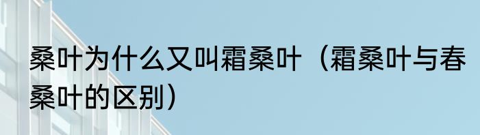 桑叶为什么又叫霜桑叶（霜桑叶与春桑叶的区别）