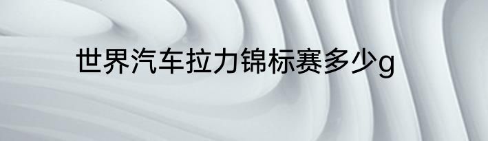 世界汽车拉力锦标赛多少g