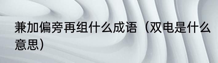 兼加偏旁再组什么成语（双电是什么意思）