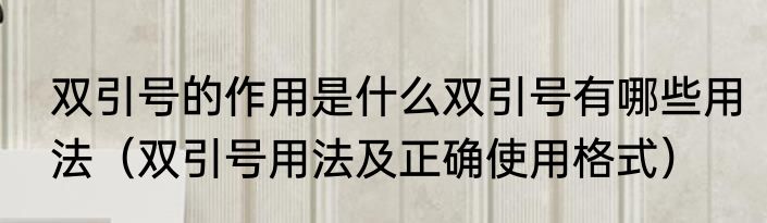 双引号的作用是什么双引号有哪些用法（双引号用法及正确使用格式）