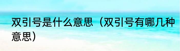 双引号是什么意思（双引号有哪几种意思）