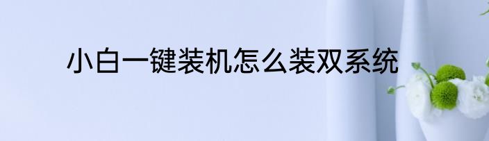 小白一键装机怎么装双系统