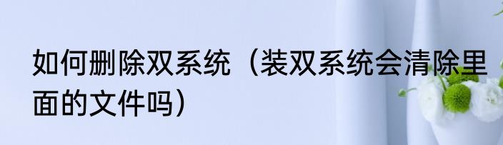 如何删除双系统（装双系统会清除里面的文件吗）