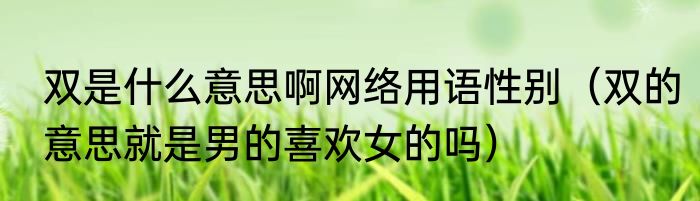 双是什么意思啊网络用语性别（双的意思就是男的喜欢女的吗）