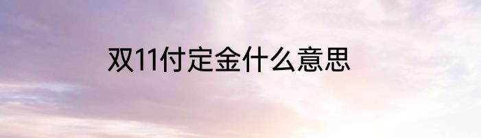 双11付定金什么意思