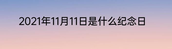 2021年11月11日是什么纪念日