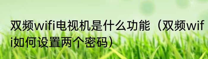 双频wifi电视机是什么功能（双频wifi如何设置两个密码）
