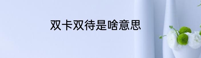 双卡双待是啥意思