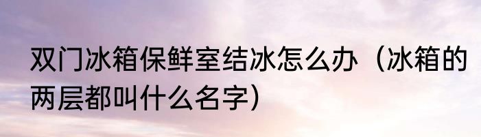 双门冰箱保鲜室结冰怎么办（冰箱的两层都叫什么名字）