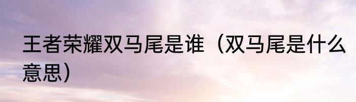王者荣耀双马尾是谁（双马尾是什么意思）