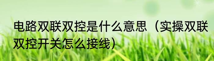 电路双联双控是什么意思（实操双联双控开关怎么接线）