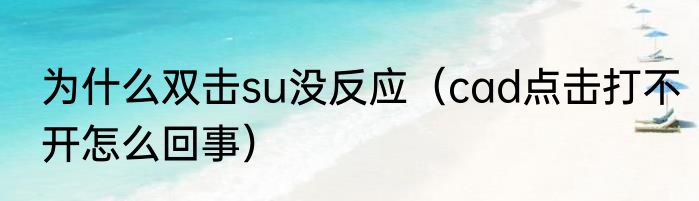 为什么双击su没反应（cad点击打不开怎么回事）