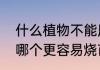什么植物不能用尿素（硫酸铵和尿素哪个更容易烧苗）