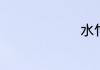 水竹怎样养