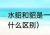 水貂和貂是一个意思吗（水貂和貂有什么区别）