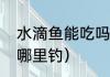 水滴鱼能吃吗（星露谷物语在水滴鱼哪里钓）