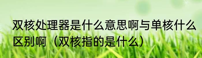 双核处理器是什么意思啊与单核什么区别啊（双核指的是什么）