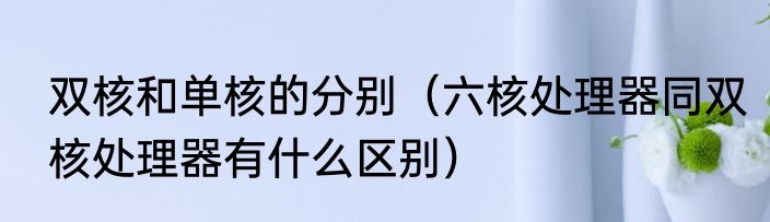 双核和单核的分别（六核处理器同双核处理器有什么区别）