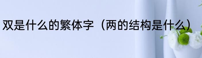 双是什么的繁体字（两的结构是什么）