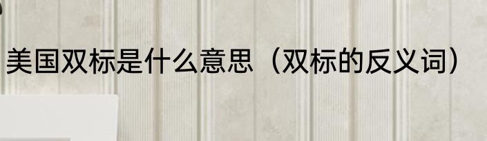 美国双标是什么意思（双标的反义词）