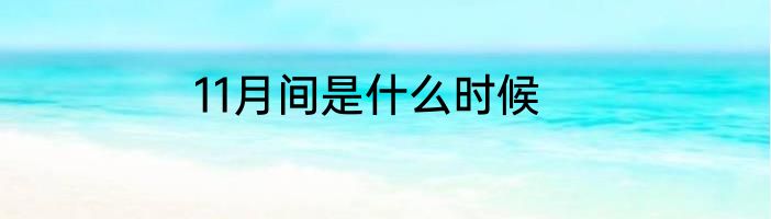 11月间是什么时候