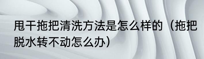 甩干拖把清洗方法是怎么样的（拖把脱水转不动怎么办）