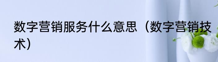数字营销服务什么意思（数字营销技术）